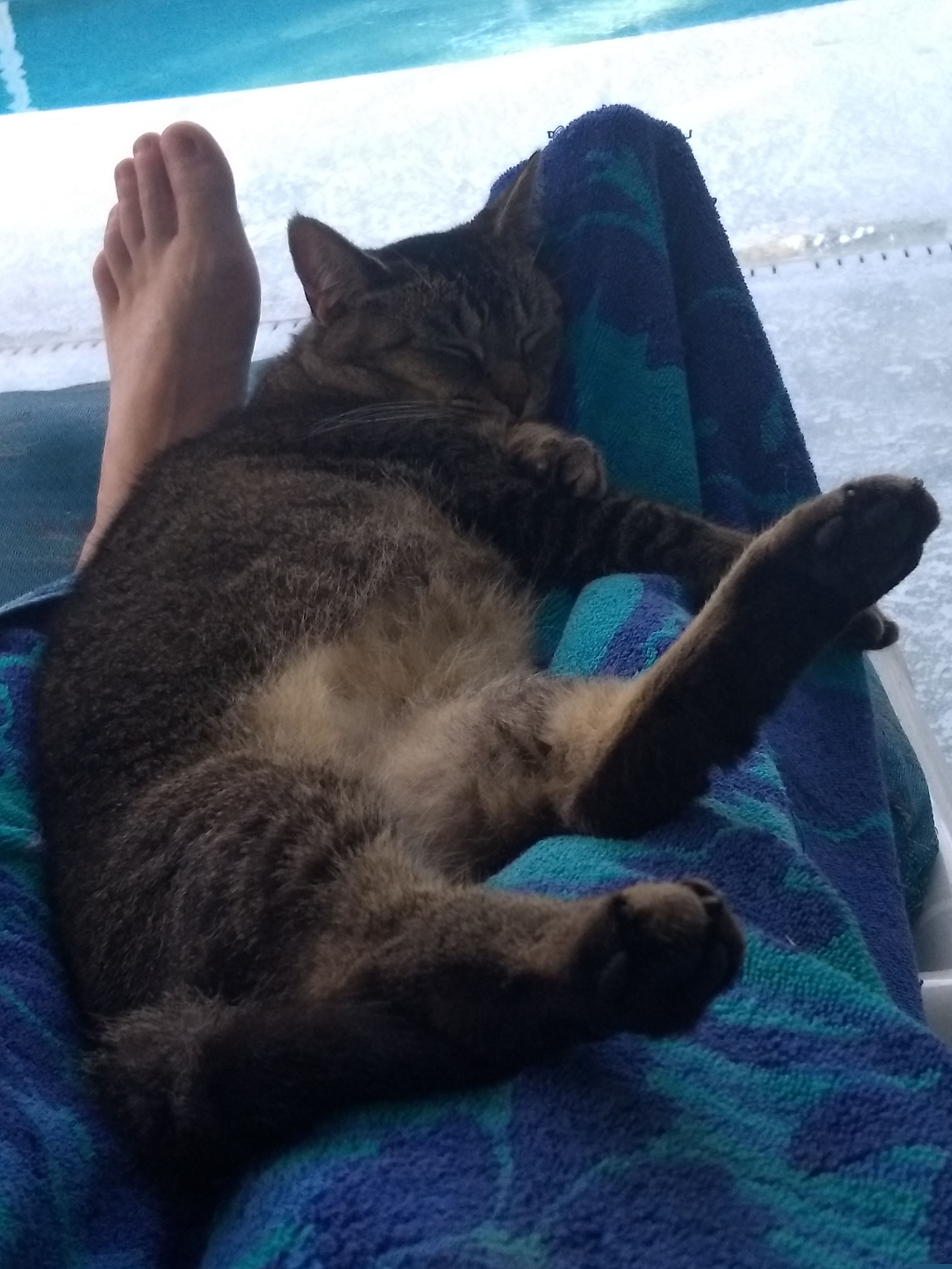 Chillin' With Muffin