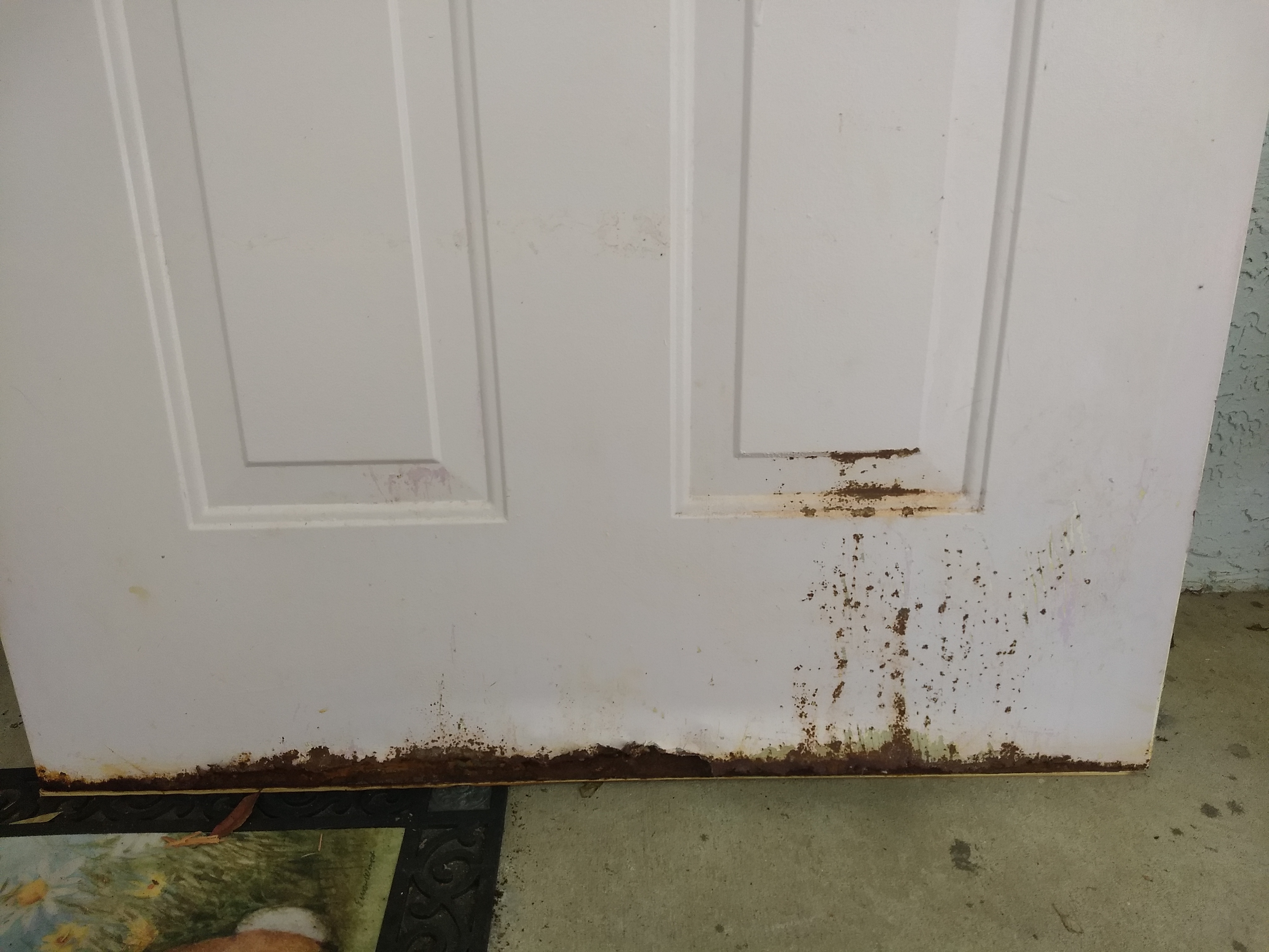 Front Door Rust