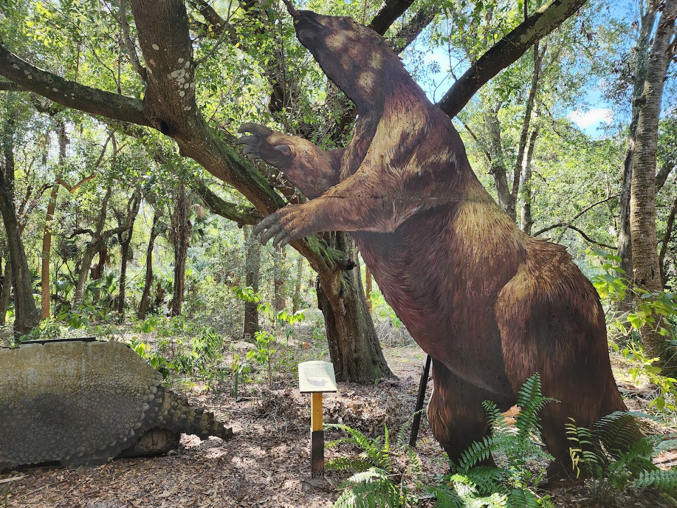 Giant Sloth Armadillo )or something) on Nature Trail (not real)