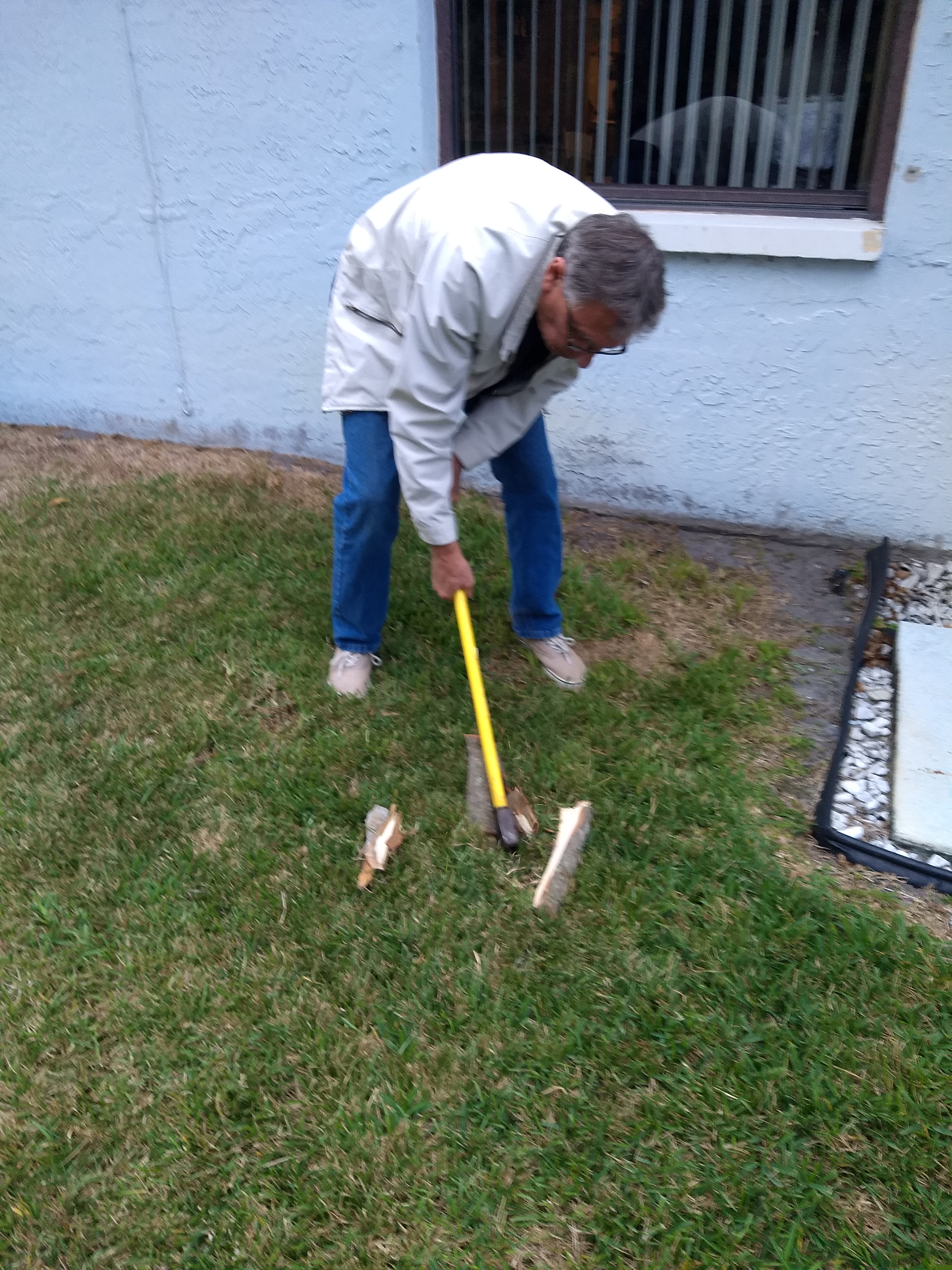 Walt chopping wood