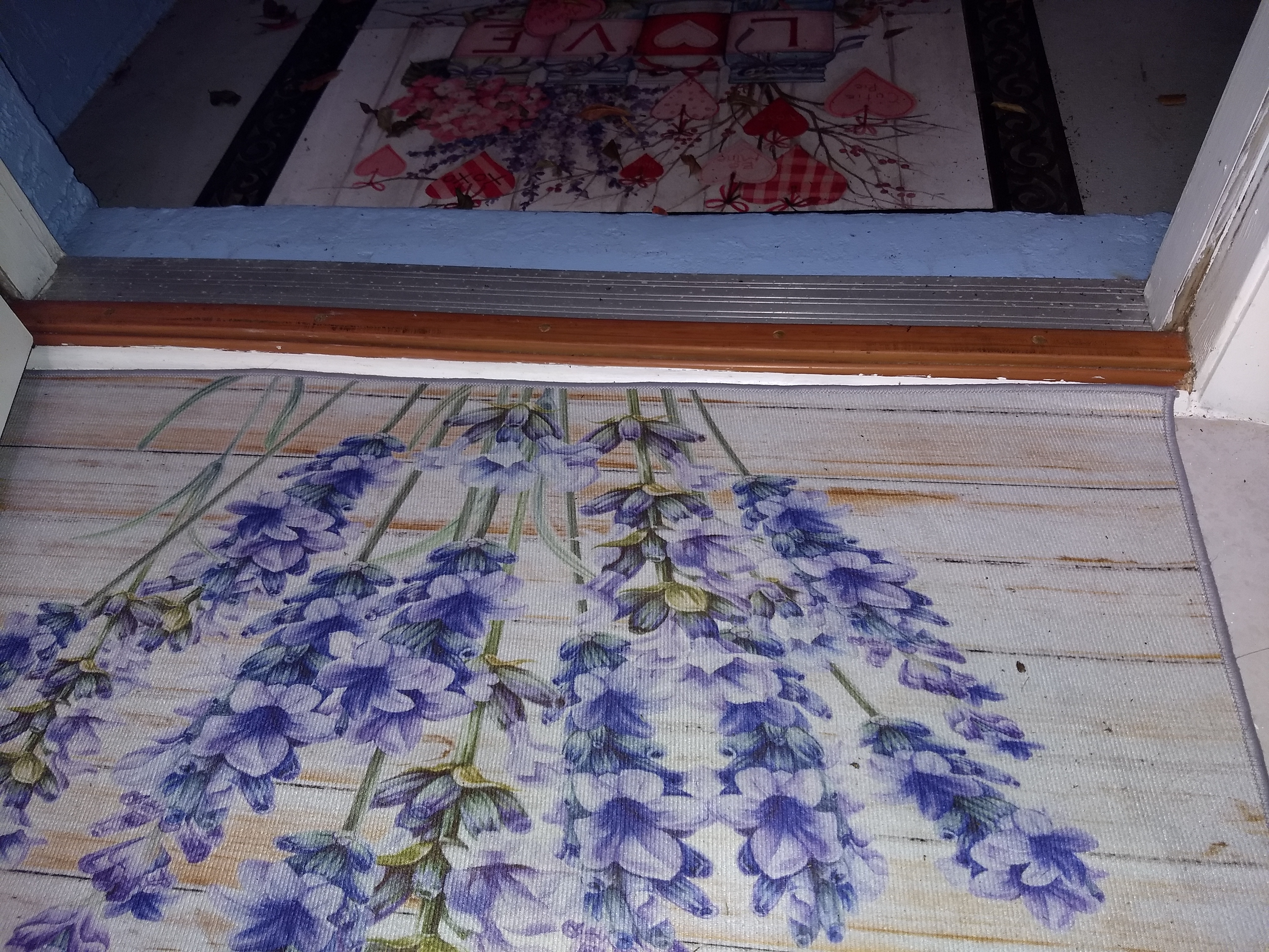 Front Door Threshold