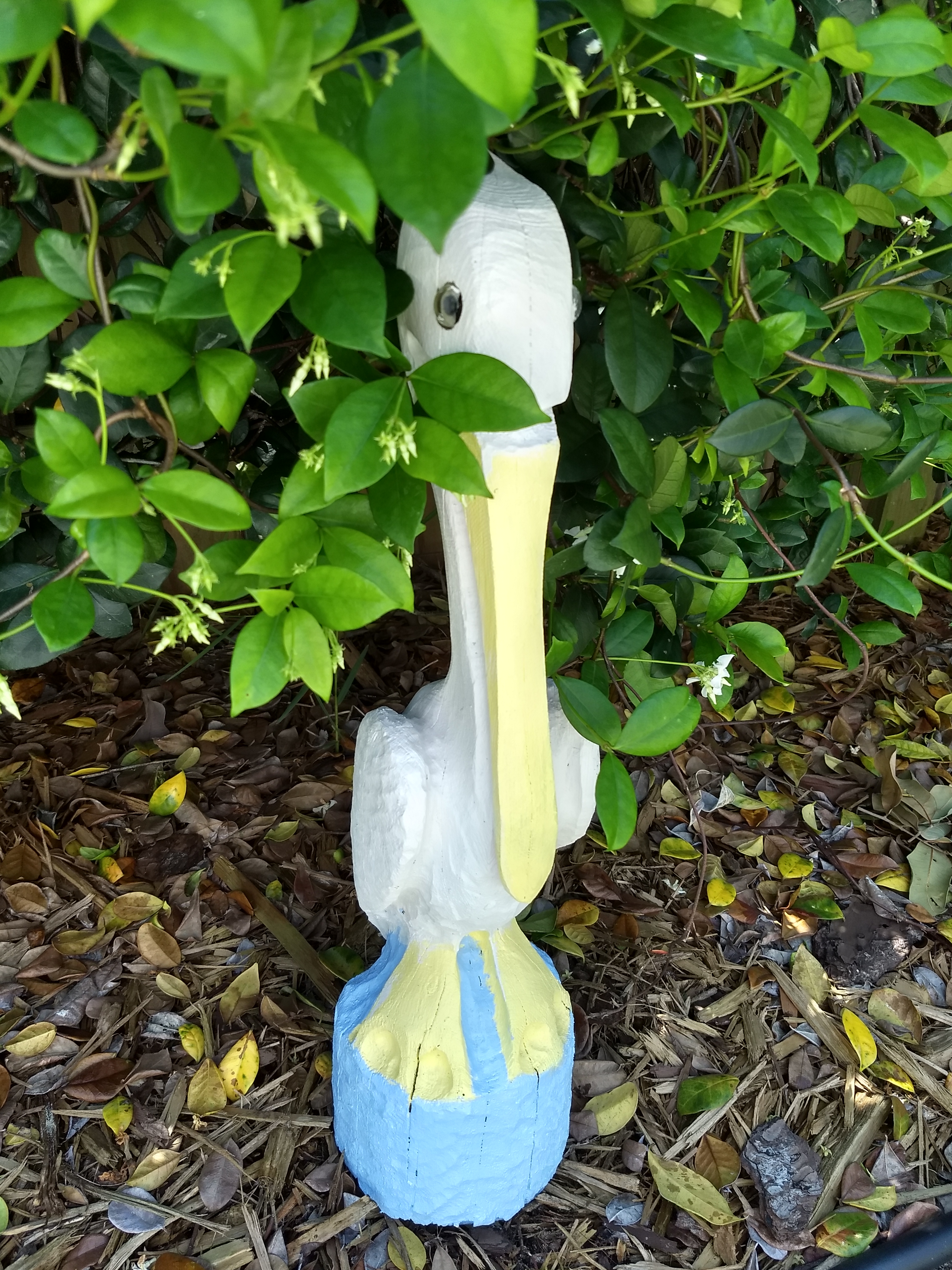 Pelican after painting